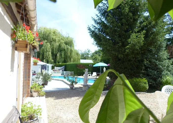 Les dauphins de Mareuil